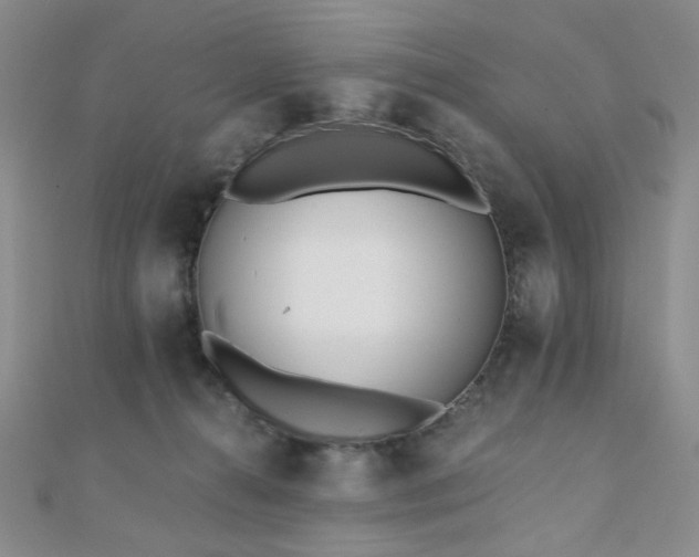X0000110740272200906151110