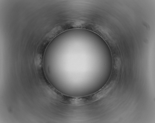 X0000110740273200906151110