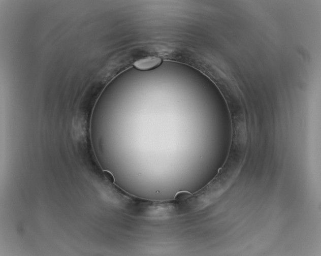 X0000110740274200906151110