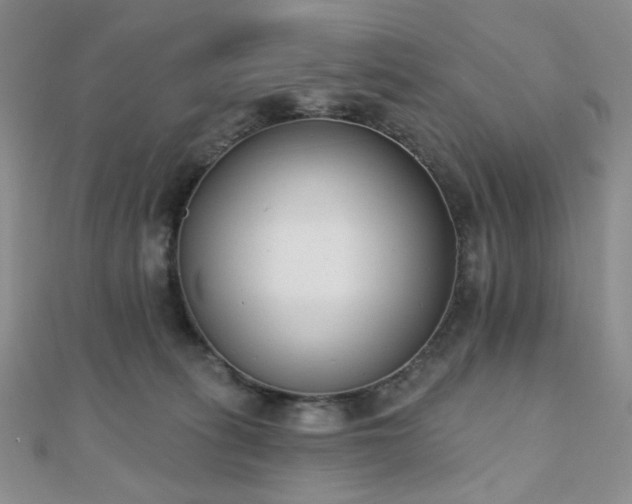 X0000110740275200906151110