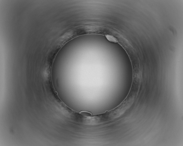 X0000110740277200906151110