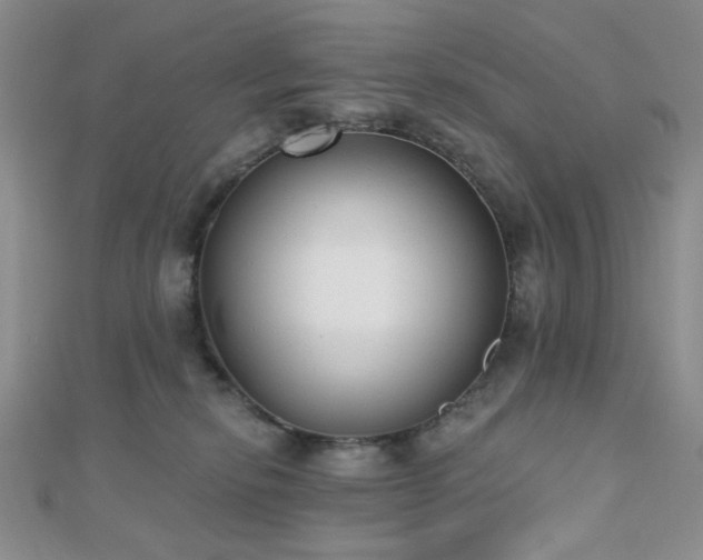 X0000110740278200906151110