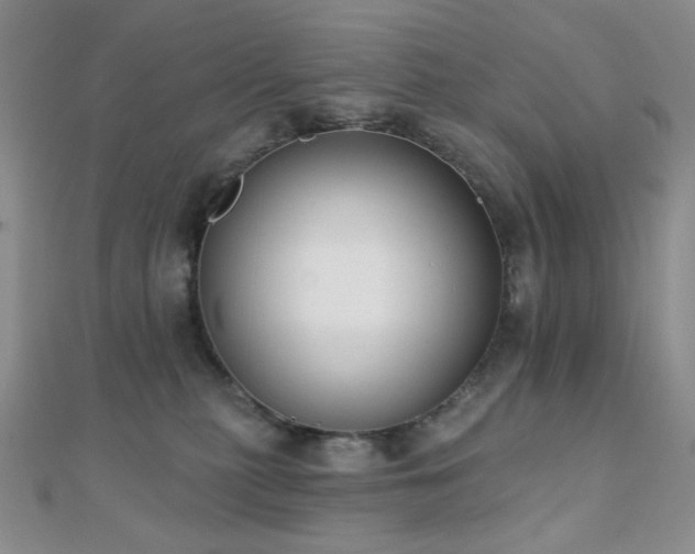 X0000110740279200906151110