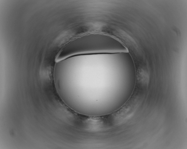 X0000110740280200906151110