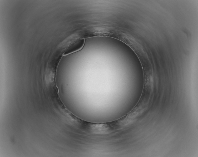 X0000110740281200906151110