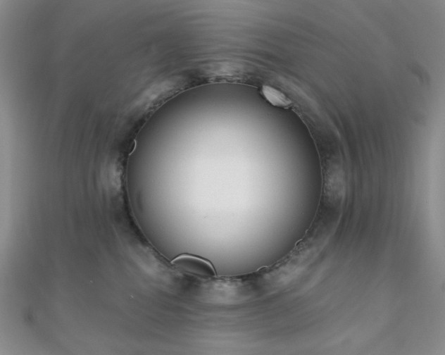 X0000110740282200906151110