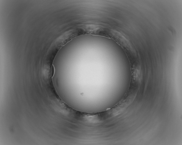X0000110740283200906151110