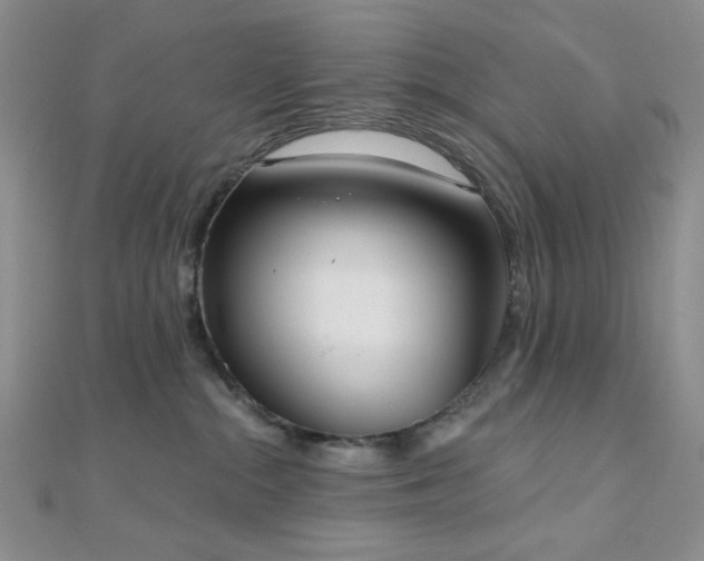 X0000110740284200906151110
