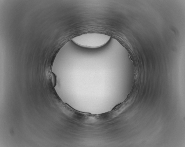 X0000110740285200906151110