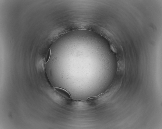 X0000110740286200906151110