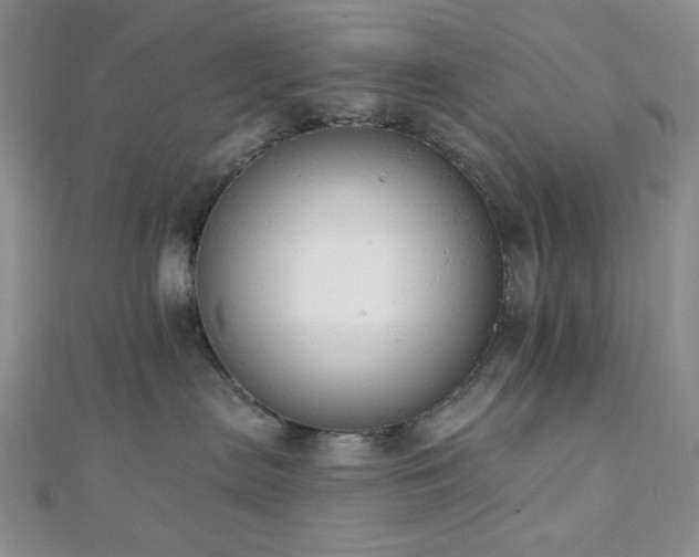 X0000110740287200906151110