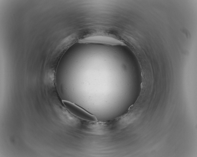 X0000110740288200906151110