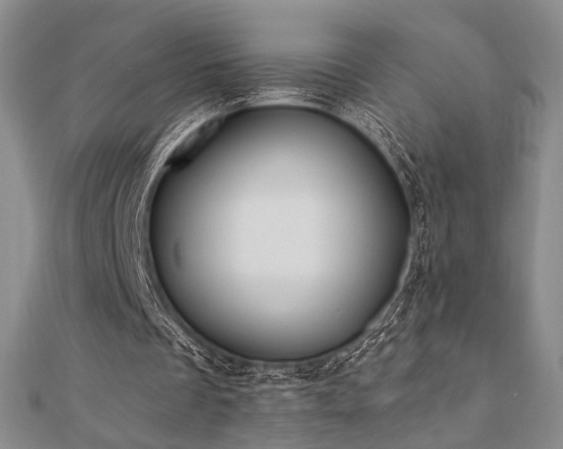 X0000110740289200906151109