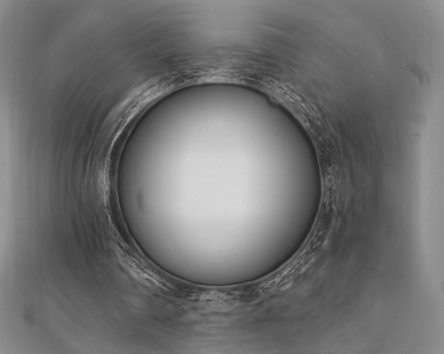X0000110740290200906151109
