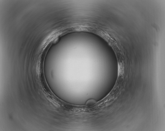 X0000110740291200906151109