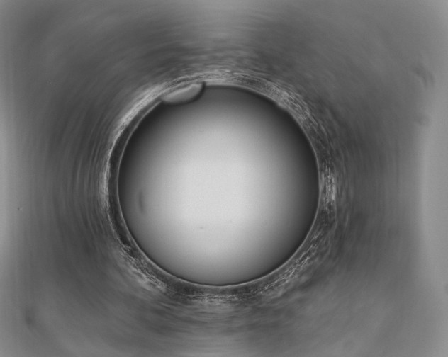 X0000110740292200906151109