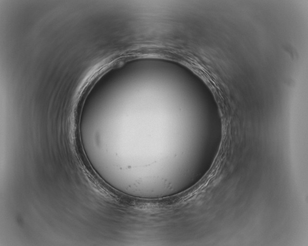 X0000110740293200906151109