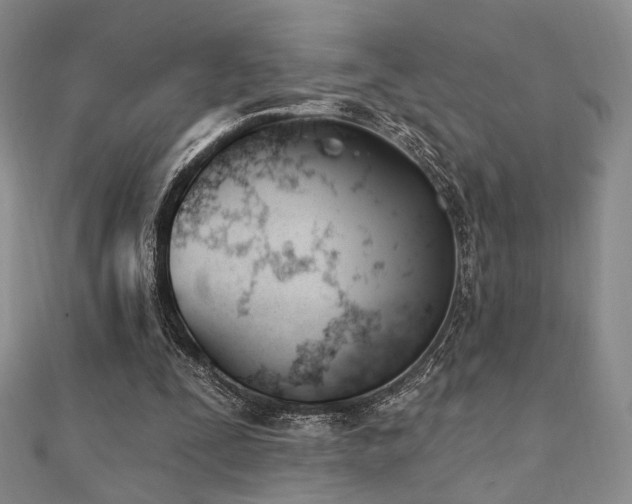X0000110740295200906151109