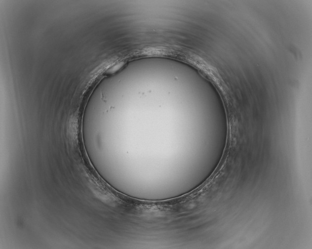 X0000110740297200906151109