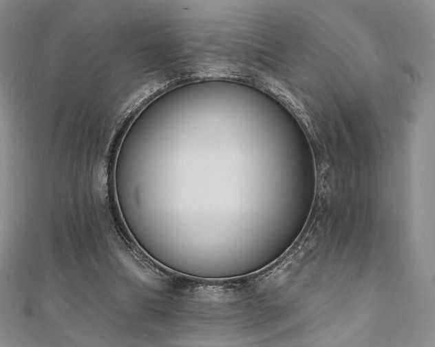 X0000110740298200906151109
