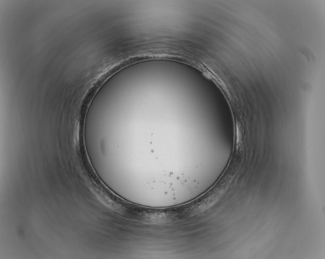 X0000110740301200906151109