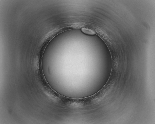 X0000110740303200906151109