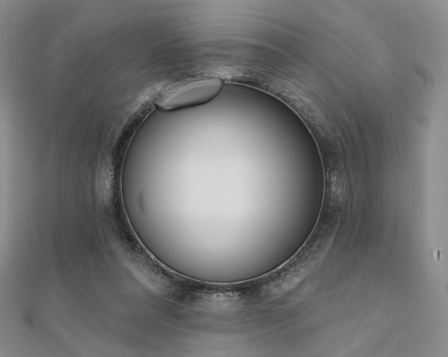 X0000110740304200906151109