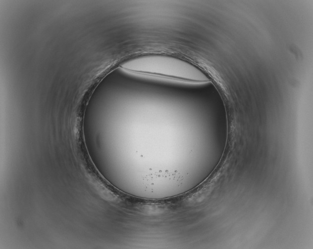 X0000110740305200906151109