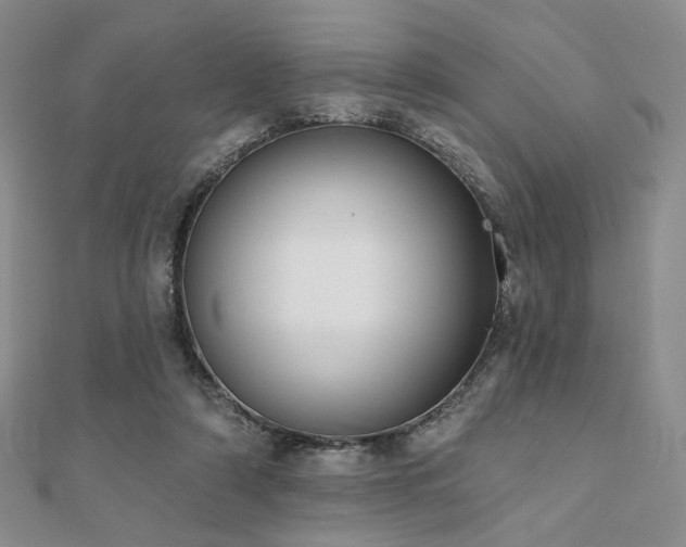 X0000110740306200906151109