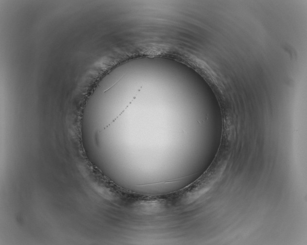 X0000110740307200906151109