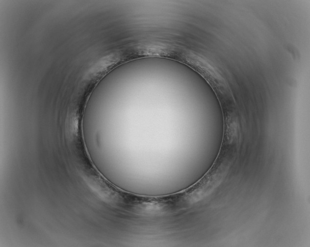 X0000110740310200906151109
