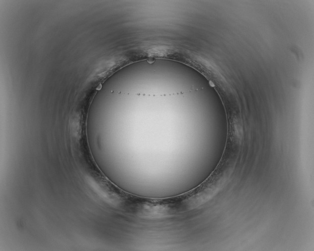 X0000110740311200906151109