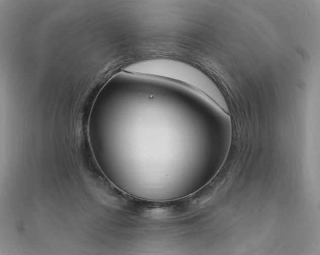 X0000110740312200906151109