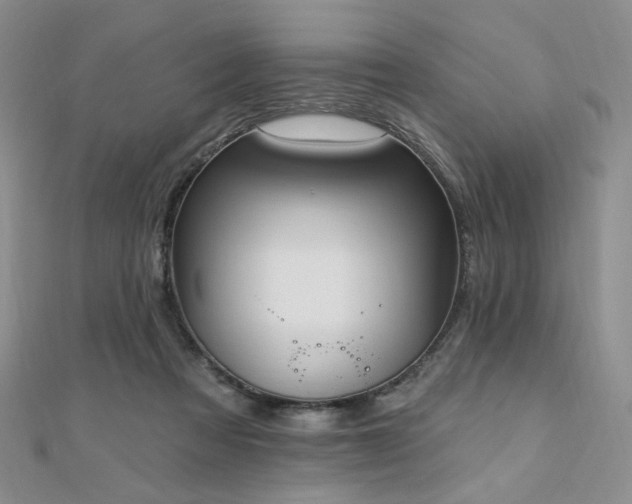 X0000110740313200906151109