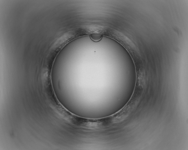 X0000110740314200906151109