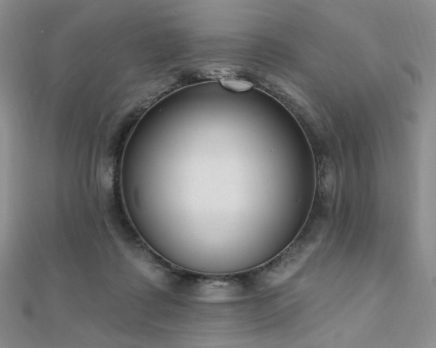 X0000110740315200906151109