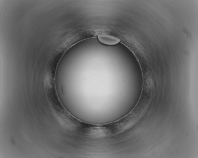 X0000110740316200906151109