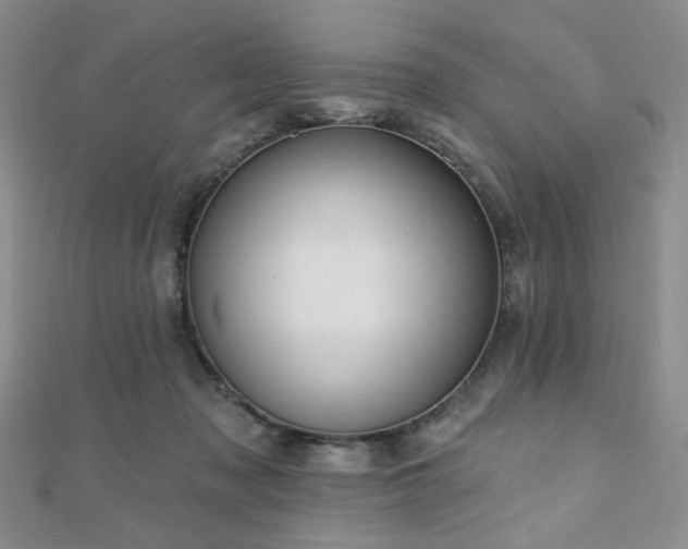 X0000110740317200906151109