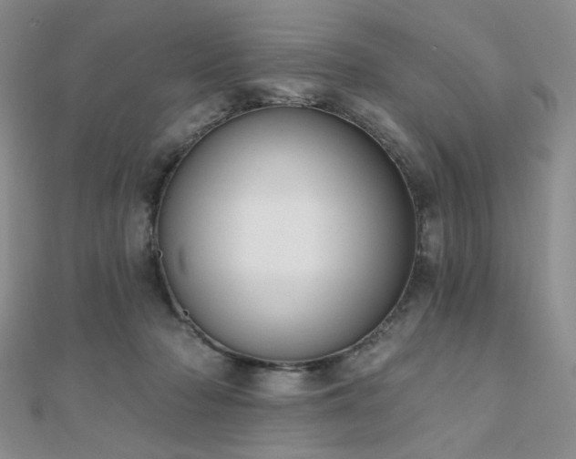 X0000110740318200906151109