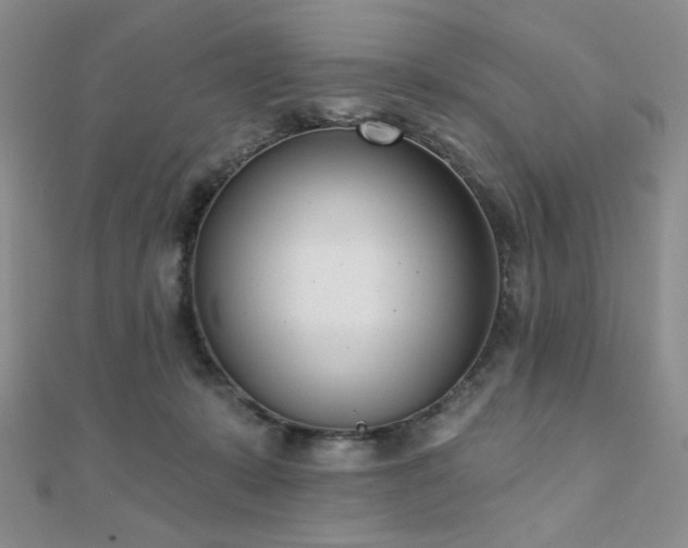 X0000110740319200906151109