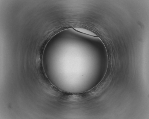 X0000110740320200906151109