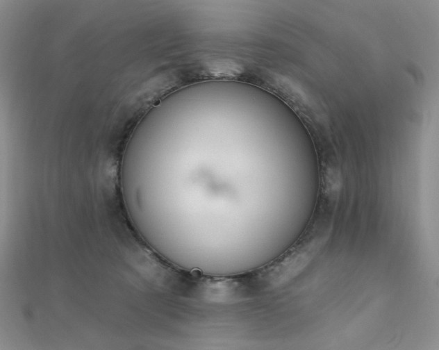 X0000110740321200906151109