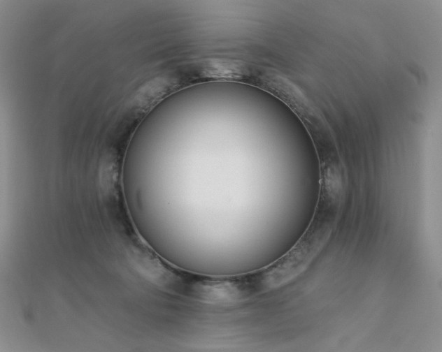 X0000110740322200906151109