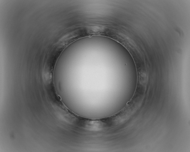 X0000110740324200906151109