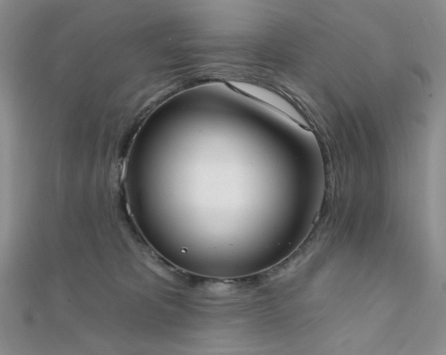X0000110740325200906151109