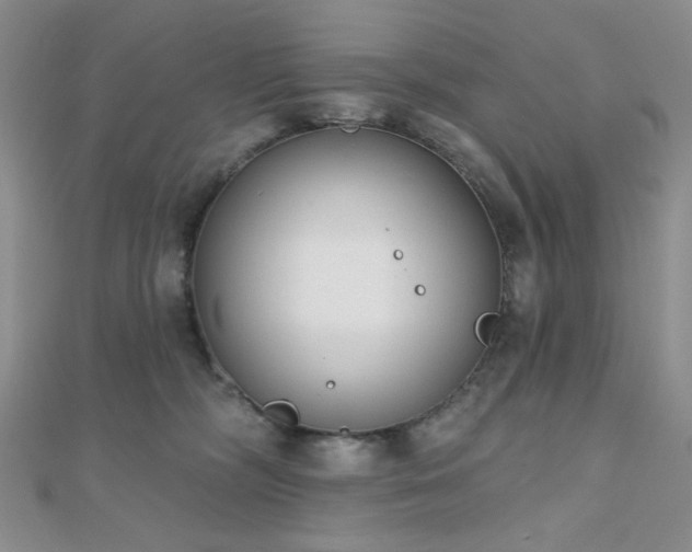 X0000110740326200906151109