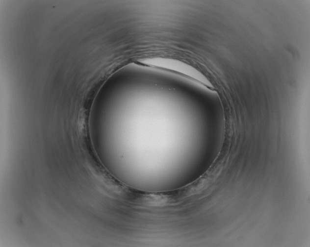 X0000110740328200906151109