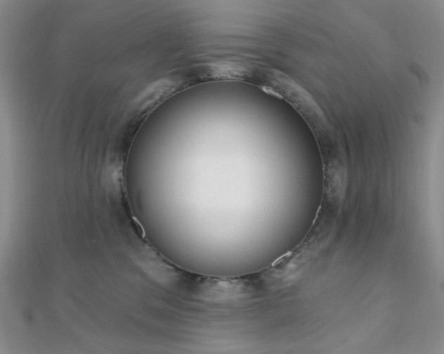 X0000110740329200906151109