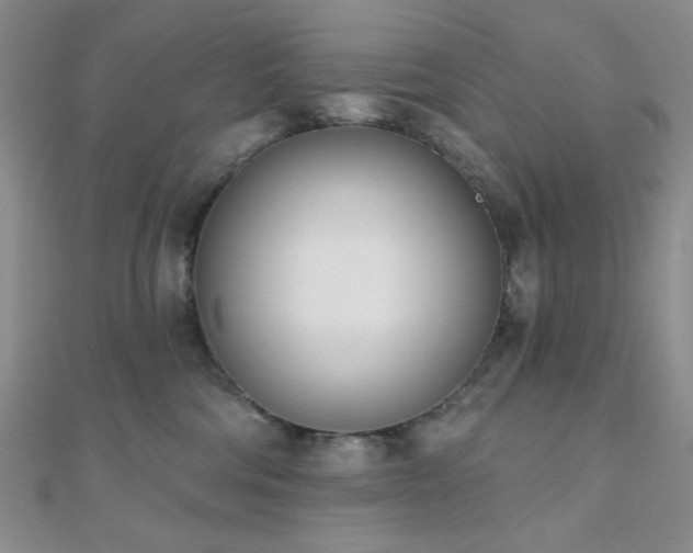 X0000110740330200906151109