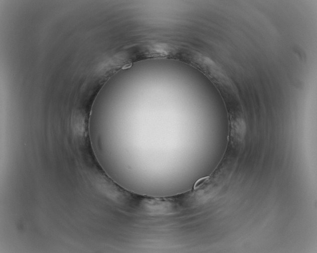 X0000110740331200906151109